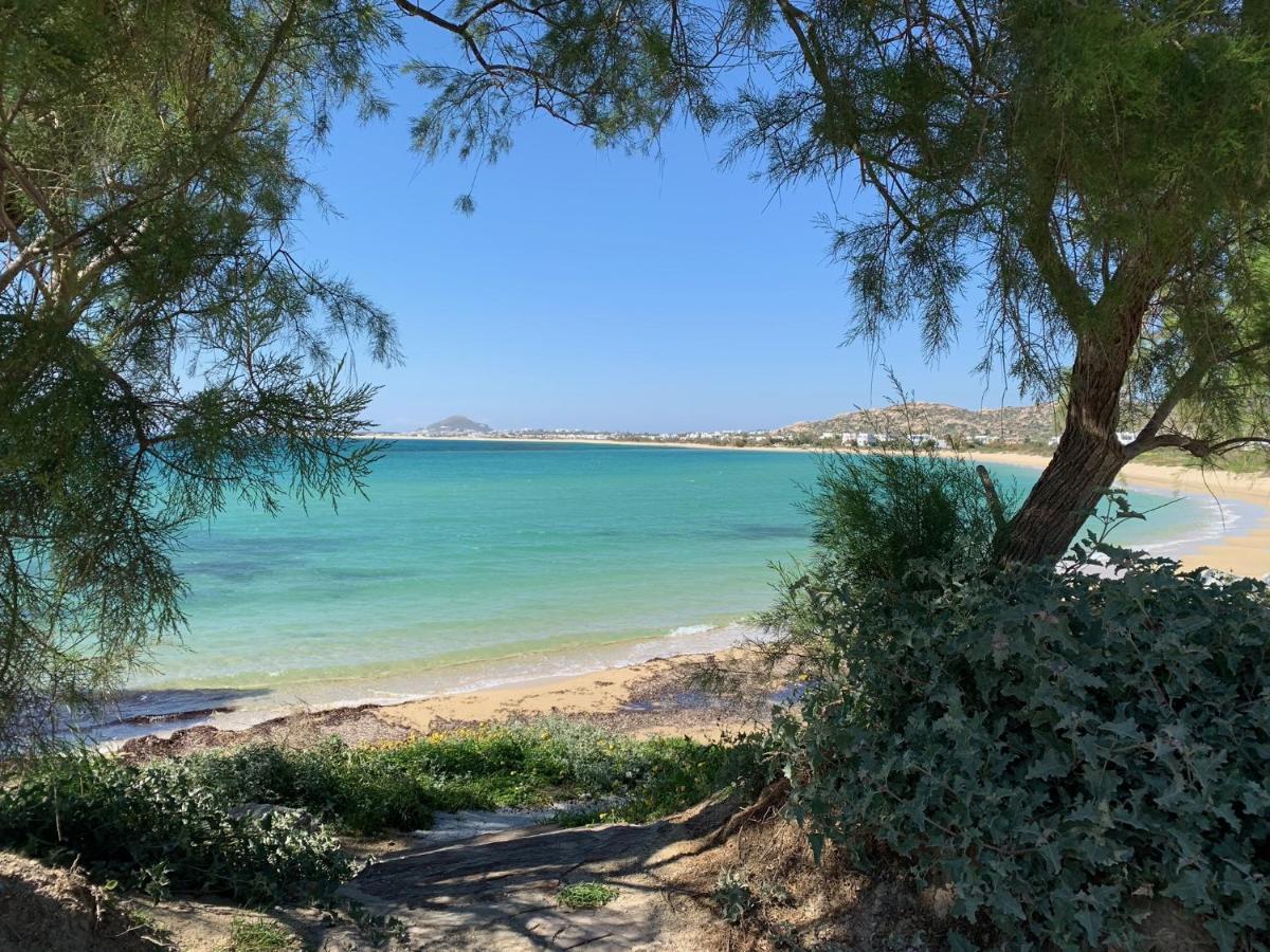 Pláka Villa Paradise In Naxos מראה חיצוני תמונה
