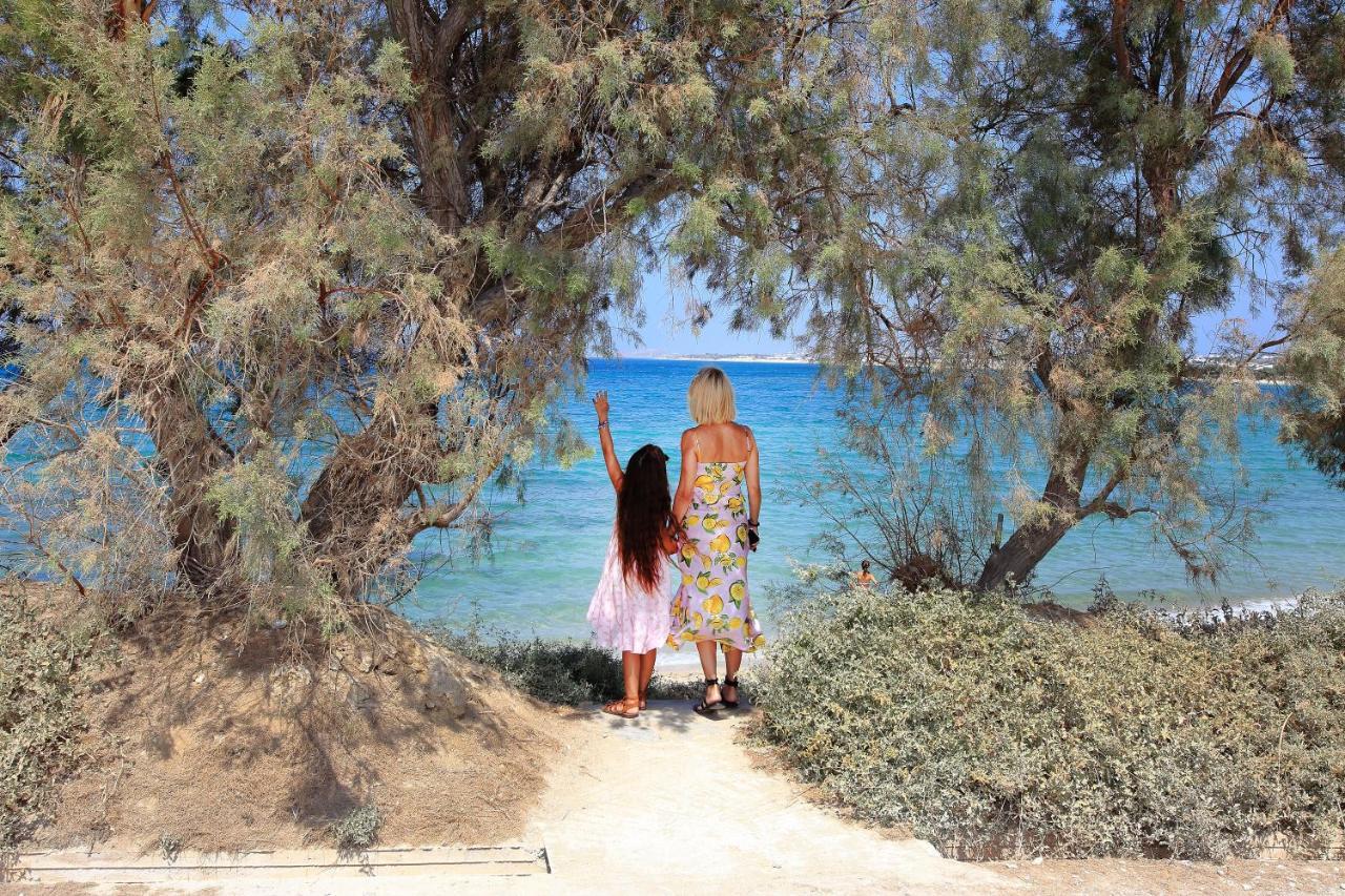 Pláka Villa Paradise In Naxos מראה חיצוני תמונה